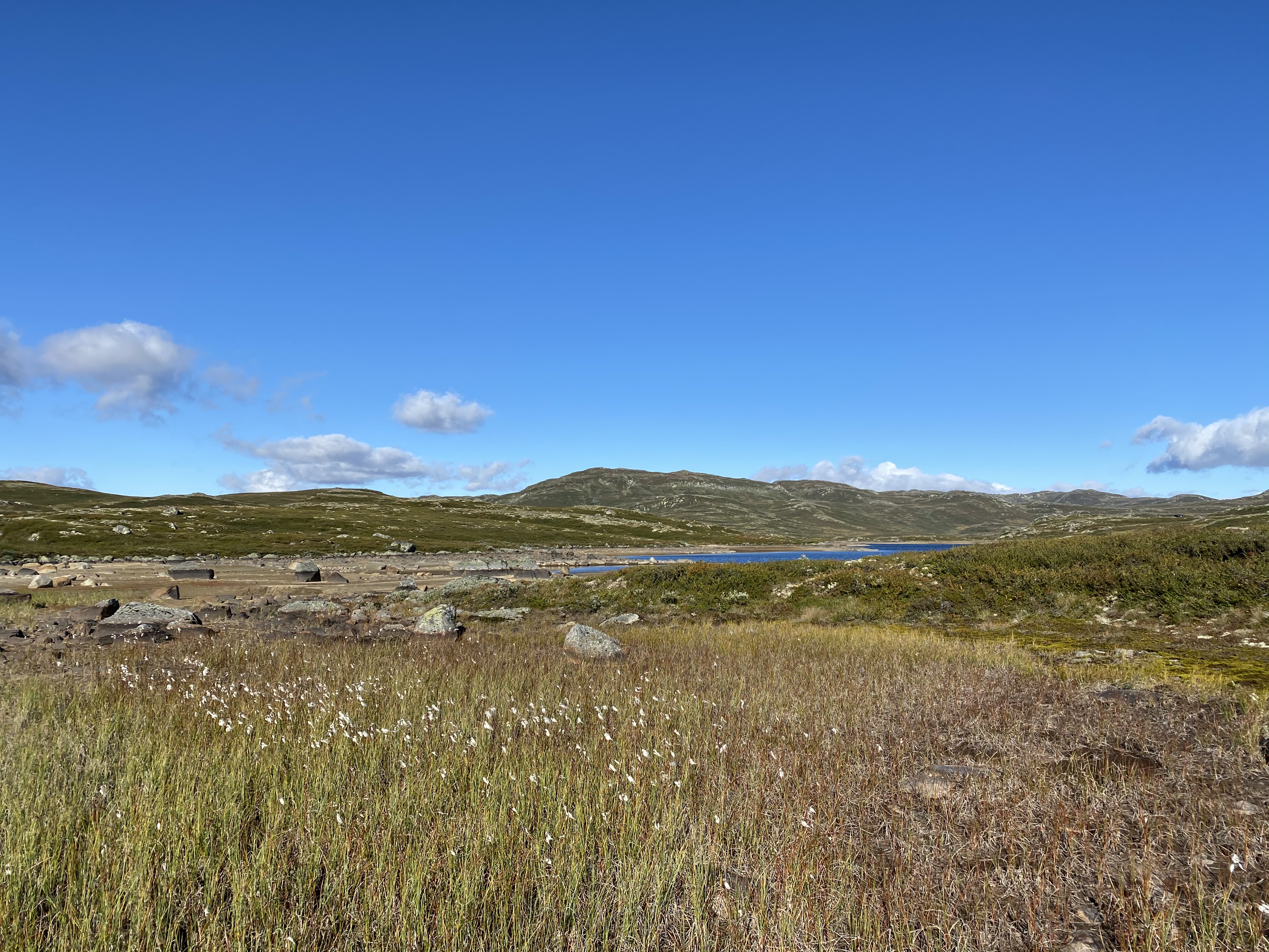 Hardangervidda Tour 2020 Helberghytta