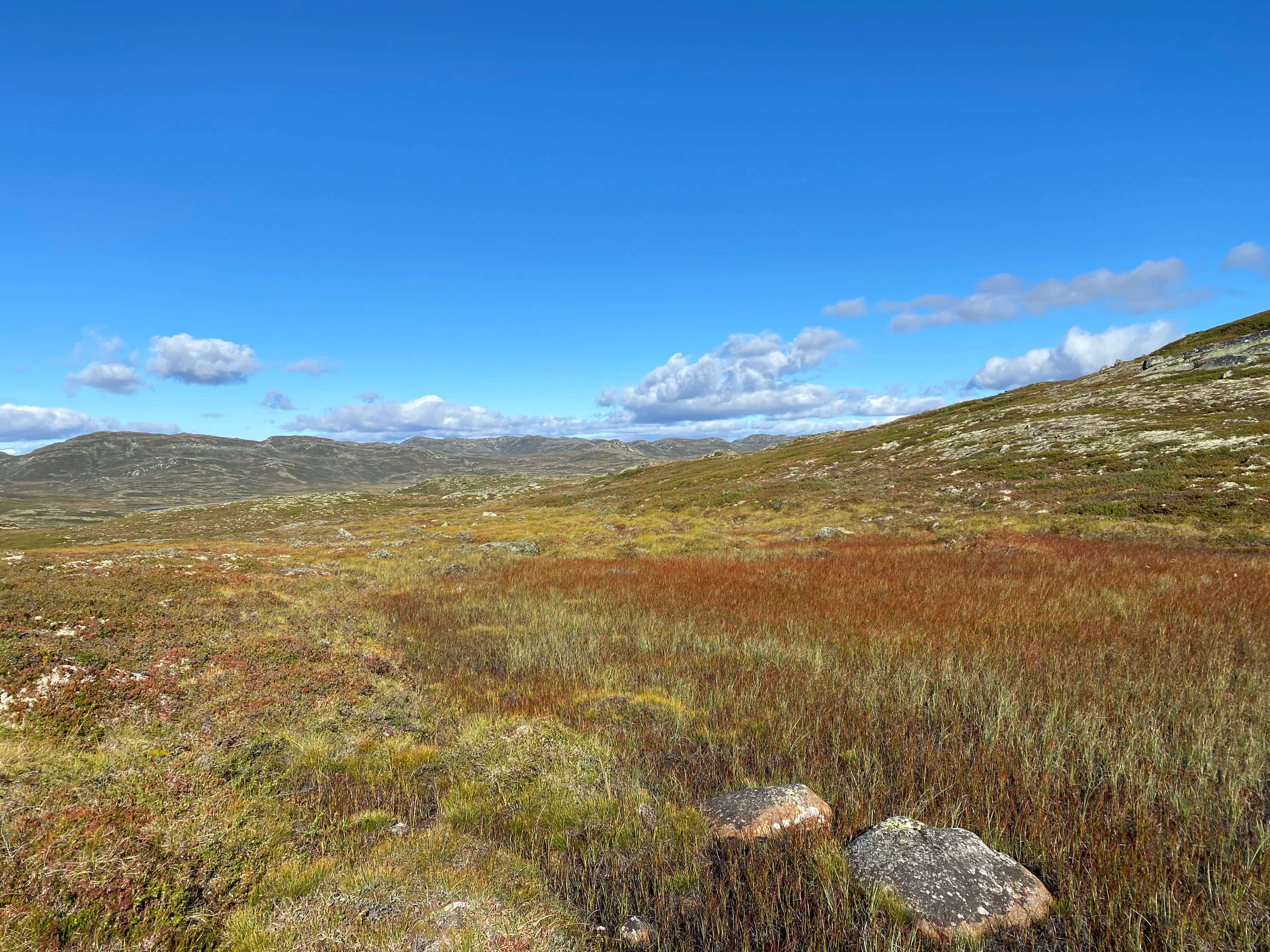 Hardangervidda Tour 2020 Gaustatoppen