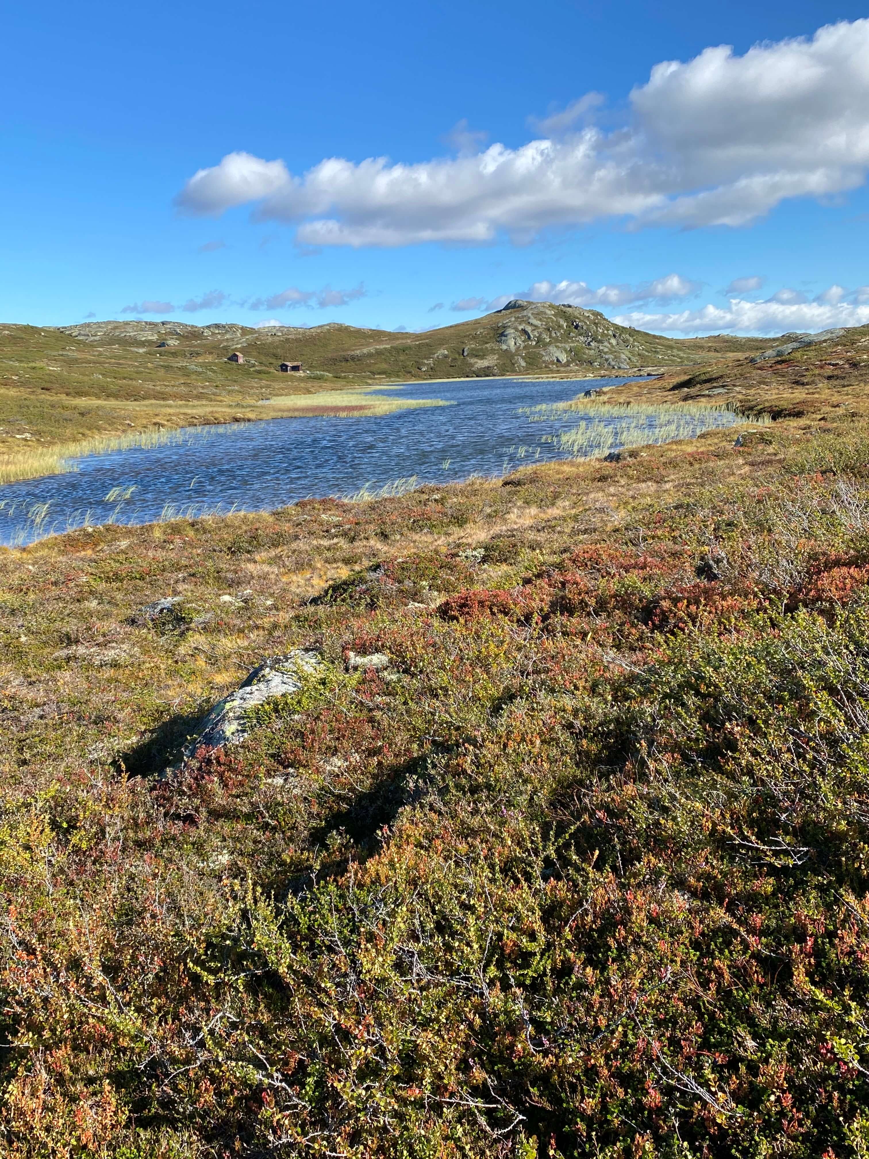 Hardangervidda Tour 2020 Gaustatoppen
